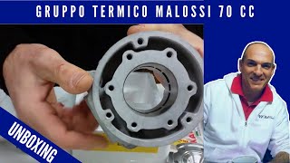 Gruppo termico Malossi MHR Flanged Mount 70 cc ricambio 3115901 [upl. by Ahseenyt723]