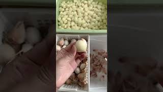 Peeling garlic farming satisfying [upl. by Delphina]