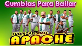 Tropicalisimo Apache Mix 2024  Cumbias Para Bailar [upl. by Aneeras160]