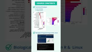 RNA Seq Data Analysis With Linux amp R Course [upl. by Eninotna769]