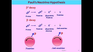 Paulis Neutrino Hypothesis [upl. by Alios]