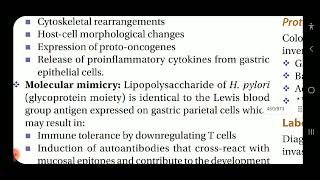 Miscellaneous Bacterial Infections of GIT [upl. by Duston]