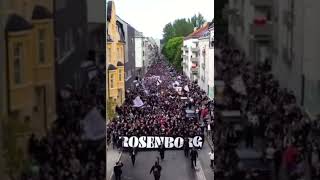 Rosenborg supportere marsjerer til Lerkendal før kampen mot Molde🔥 [upl. by Letha854]