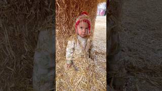 Straw bale maze hide and seek 🥰 [upl. by Eluj]