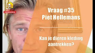 Vraag 35 DierenLot  Piet Hellemans  Is het verantwoord om dieren kleding aan te trekken [upl. by Irved]