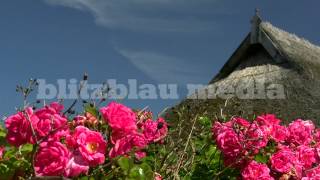 Stock Footage Europe Germany Baltic Sea Mecklenburg Thatched Roof House Ostsee Reetdachhaus Travel [upl. by Ennelram]