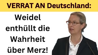 Weidel entlarvt CDU amp Merz [upl. by Ebsen]