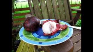 Mangosteen Tasting  Tropical Fruit [upl. by Araem408]