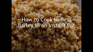 How to Cook Barley in an Instant Pot [upl. by Atirak]