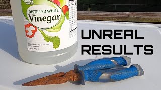 Using Vinegar to EASILY remove rust from any tool [upl. by Vaughan493]