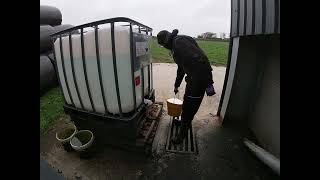 FOOTBATHING COWS FOR DIGITAL DERMATITIS [upl. by Ragg]