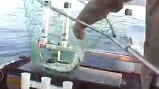 Mackinaw fishing Tahoe trolling downrigger secrets tips [upl. by Ephrayim]