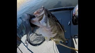 bass tournament at Lake Isabella  ABA  GGAMBIT bassfishing fishing lakeisabella tournament [upl. by Loma203]