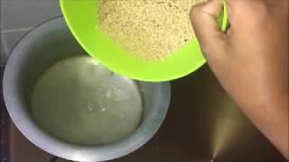 foxtail millets cooking  foxtail millets rice  foxtail millets recipes  korralu annam [upl. by Yc242]