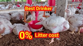 Poultry automatic drinker low costReuse of poultry litter [upl. by Rhpotsirhc]