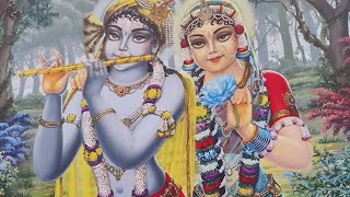 Vrindavan Spiritual Trip 2023 Episode 3 Glorifying Transcendental Vrindavan Dham [upl. by Lekar]