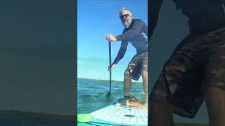 Epic downwinder on the lake reels shorts viral paddleboarding [upl. by Tiras]