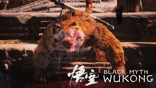 TIGER vs MONKEY  Black Myth Wukong  Gameplay PS5 No Commentary ENG  SUB ITA [upl. by Alwyn]