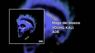 YOUNG KALI  Mago del blocco [upl. by Aliakim385]