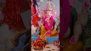 गणेश चतुर्थी स्पेशल ❤️🙏 ganeshchaturthi ganesh bappa shorts sunnyugrejiya [upl. by Ordep]