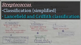 Streptococcus part1  Classification of streptococci [upl. by Thill733]