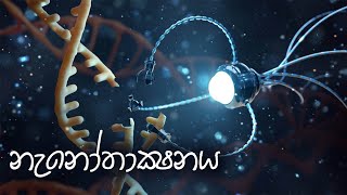 නැනෝ තාක්ෂණය සරලව  Nanotechnology   science sri lanka  technology sinhala [upl. by Lupien]