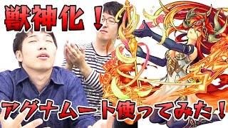 【モンスト】獣神化アグナムートを使ってみた！ [upl. by Adeehsar]