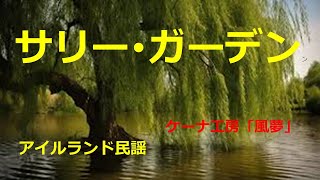 サリー･ガーデン アイルランド民謡 ケーナによる演奏 [upl. by Erdda323]