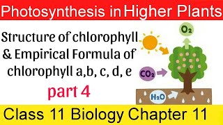 04 Structure of chlorophyll amp Empirical formula of chlorophyll a b c d e in bengali [upl. by Cram]