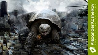 Speed Art  Turtle Under Attack  Adobe Photoshop CS5 [upl. by Akimas]