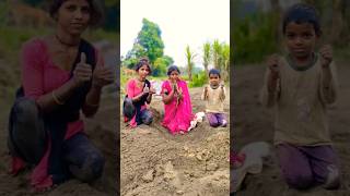 Phool khile murzaye Suraj nikale Ghar jaaye mehnat ke liye like kar do Sahabshortsvideo short [upl. by Noimad]