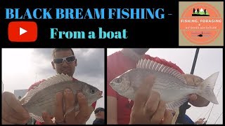 CATCHING BLACK BREAM  Charter boat fishing on ultra light tackle [upl. by Orimisac]