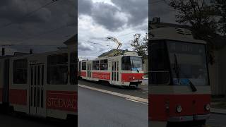 PILSEN  Celebration tram 🚋 near Borský park  4K trams [upl. by Estele]