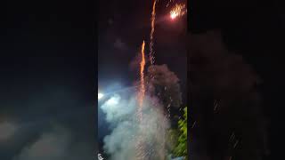 35 Sony fireworks skyshots with standard crackers phataka fireworksdisplay shorts indian [upl. by Eittam]