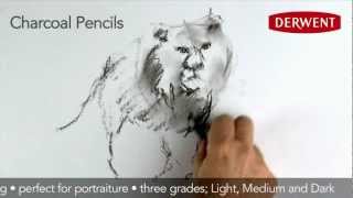 Charcoal Pencils Speed Drawing [upl. by Johnathon]