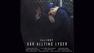 Saliboy  Album DÄR ALLTING LYSER [upl. by Eoz]