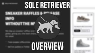 Sole Retriever Sneaker Raffle Entry Overview [upl. by Etezzil]