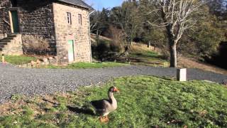 Les volcalodges près de Vulcania  Hôtel Lodges en Auvergne [upl. by Francesco934]