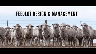 Practical feedlot seminar Feedlot design and management [upl. by Leiva866]