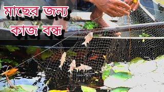 Fish catching with net from wetland। Amazing new fishing video। FishingWorld। [upl. by Mckay]