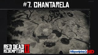 Localización Chantarela  7Compendio Plantas  Red dead redemption 2 [upl. by Ettenim950]