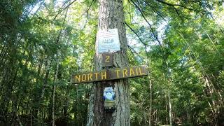 Hiking the Perch Pond Recreational Trails Take One Old Town Maine 71524 [upl. by Zeni]