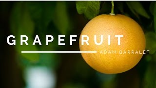 Grapefruit  The Oil of Honouring Thyself [upl. by Cigam]