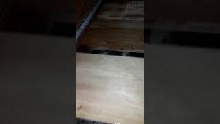 Plastificado de escalones de madera dura virapita [upl. by Ader]