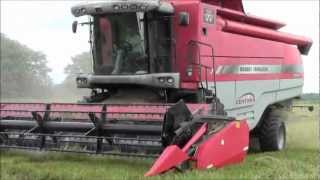 Massey Ferguson combine harvesting Winter Wheat 2012 mvw [upl. by Karlotta]