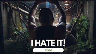 Why I HATE my Giant Rainforest Vivarium [upl. by Attenborough]