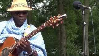 Teta  1  LIVE at Afrikafestival Hertme 2014 [upl. by Annoya670]