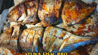 সামুদ্রিক টুনা মাছের বারবিকিউ  Tuna Fish BarBQ  Tuna Fish Cutting  Fish BarBQ Recipe [upl. by Maxi]