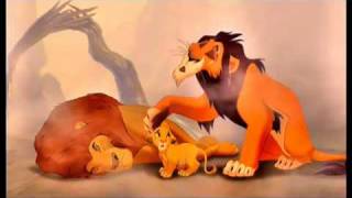 The Lion King After Stampede Backwards Video [upl. by Ahsinev]