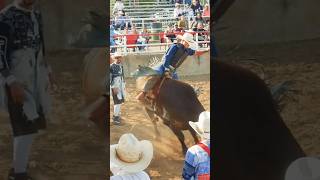 Bull riding TKO [upl. by Assetniuq]